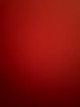 Lisa-kk webcam