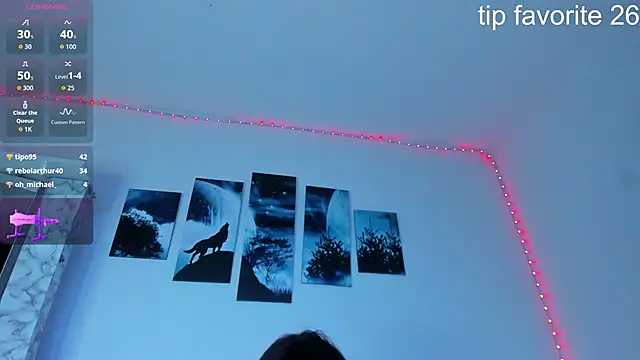 _Georgia_ webcam