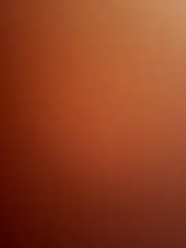 Lisa-kk webcam