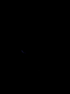 Rayangiss webcam