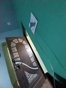 sudhastriper webcam