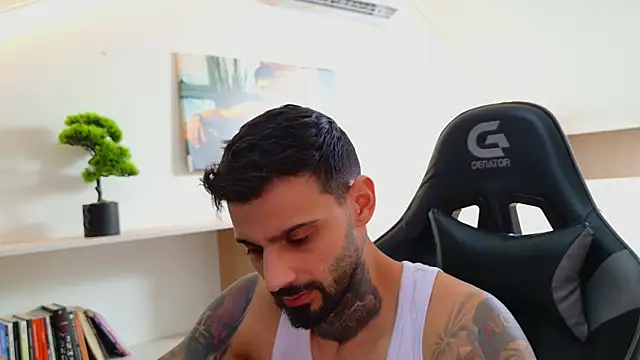 AresSteelX webcam