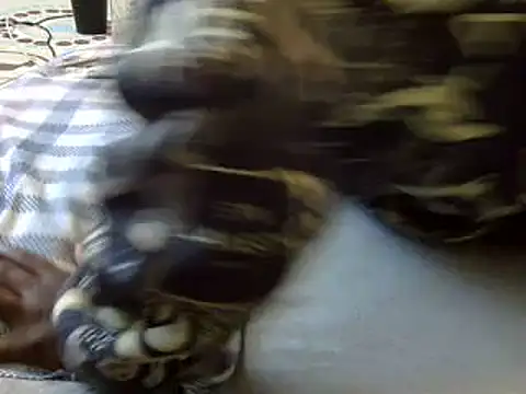Lovely_jasmine2 webcam