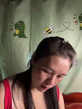 Suna-ny webcam