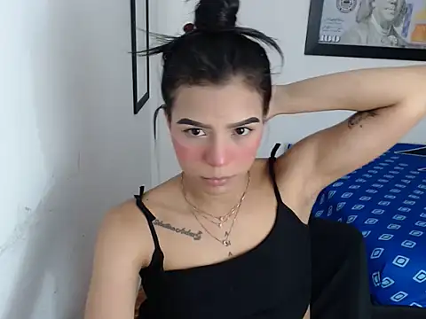 linnaskinyy webcam