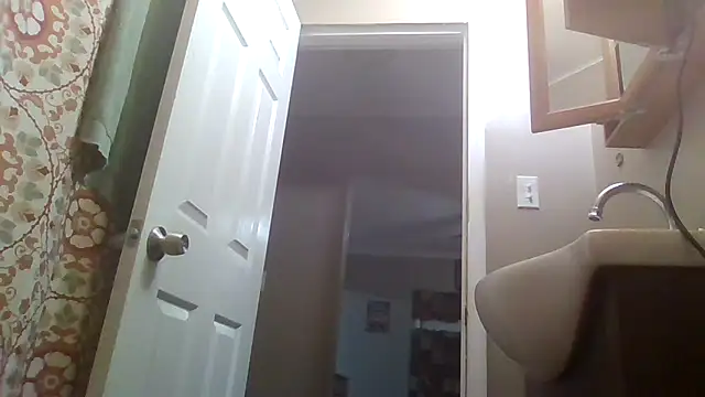 ReallyReallyReal webcam