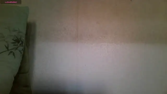 AlmetaBradicich webcam