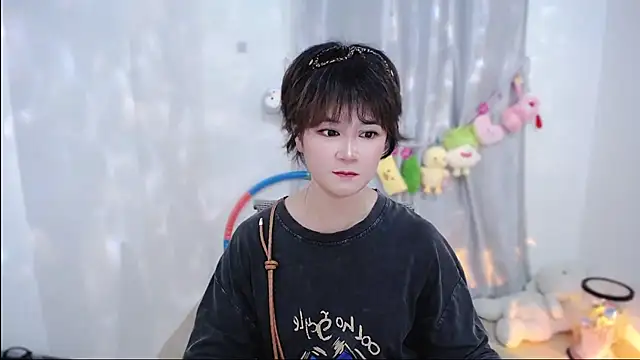 Fan_ting webcam