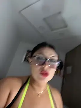 linatarens webcam