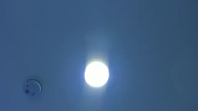 Megan_Ritz webcam