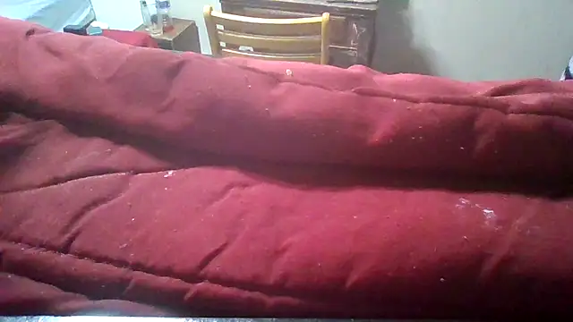 ReallyReallyReal webcam