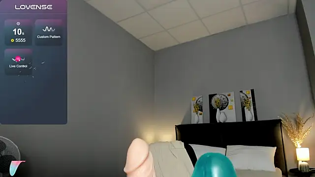 ChillGato webcam