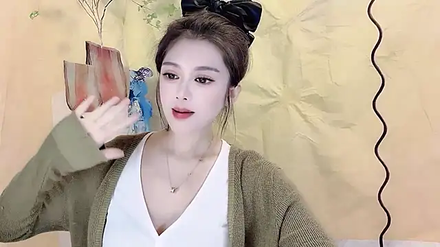 VIWVI webcam