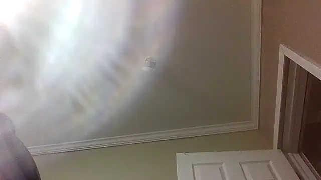 ReallyReallyReal webcam