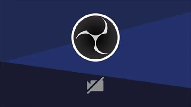 Hanzking01 webcam