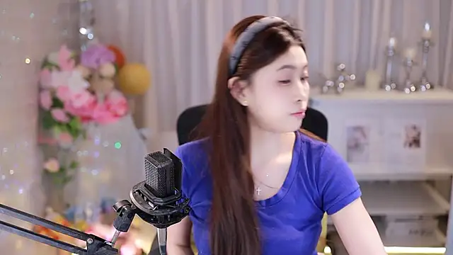 SleepArtist webcam