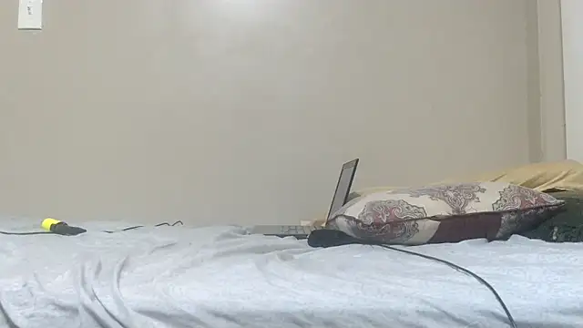 ReallyReallyReal webcam