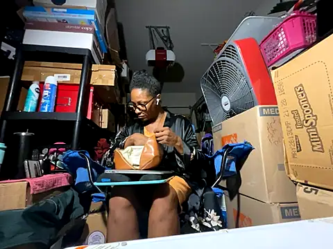wynterheat webcam