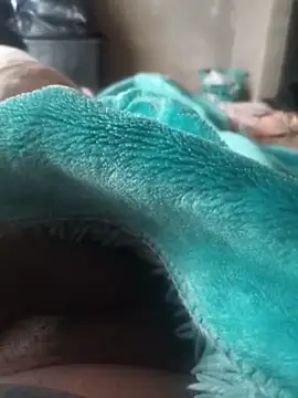 Thaps_deDick webcam