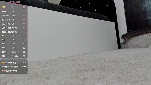 WilsonJules webcam