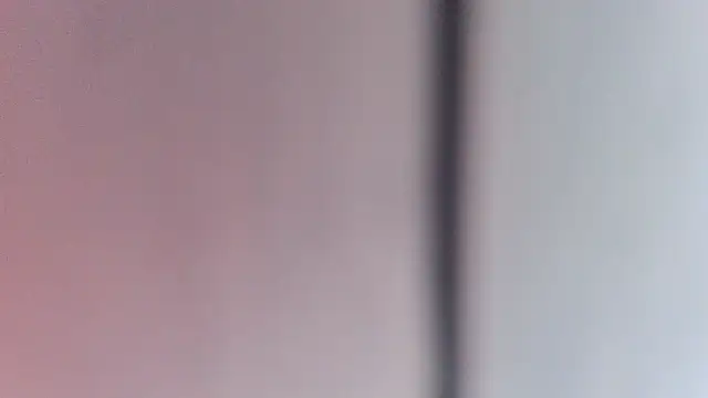 ReallyReallyReal webcam