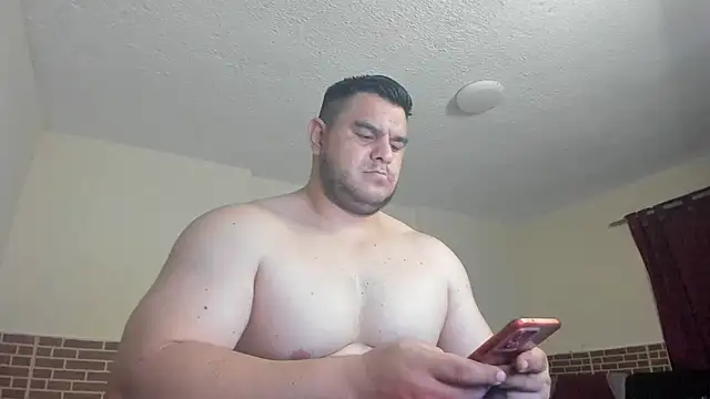 ApholoVV webcam