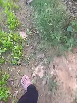 FinableKnee webcam