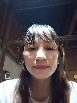 Mini3333 webcam
