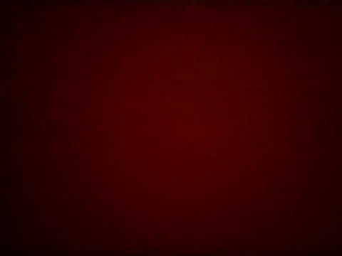 bellalevcd webcam