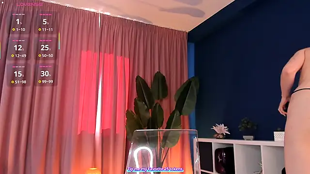 SweetyFit webcam