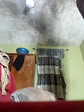 Freedomvim webcam