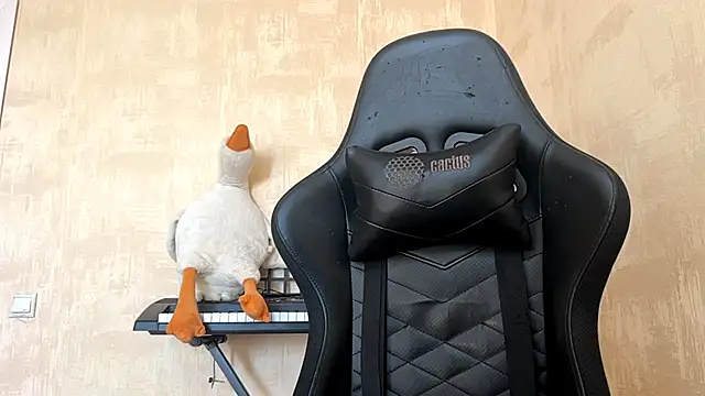 foxyjeny webcam