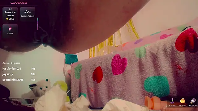 pauladaniels webcam