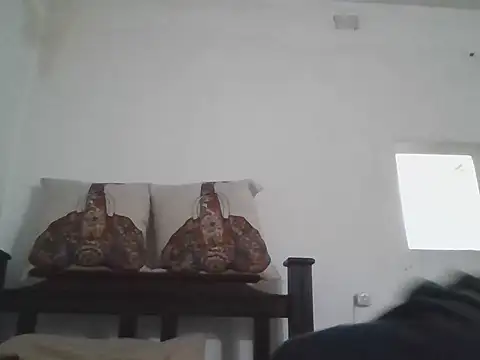 Emy44x webcam