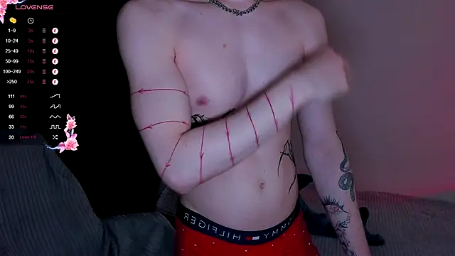 Alex_silent webcam