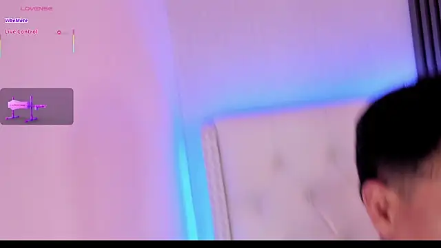 mr_aronnn webcam