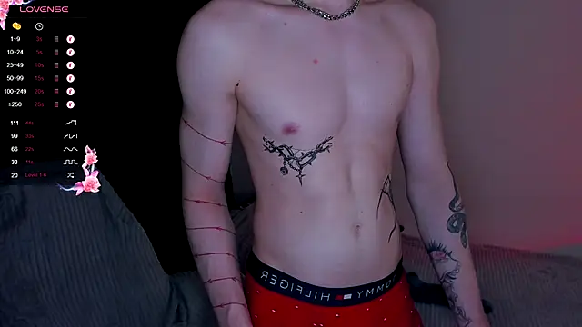 Alex_silent webcam