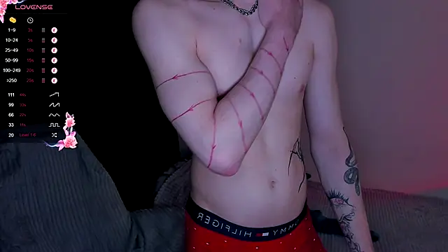 Alex_silent webcam