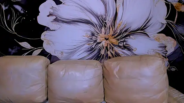 project_barbara webcam