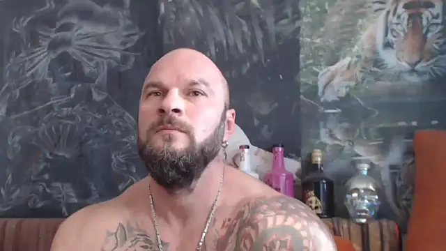 viking_30 webcam
