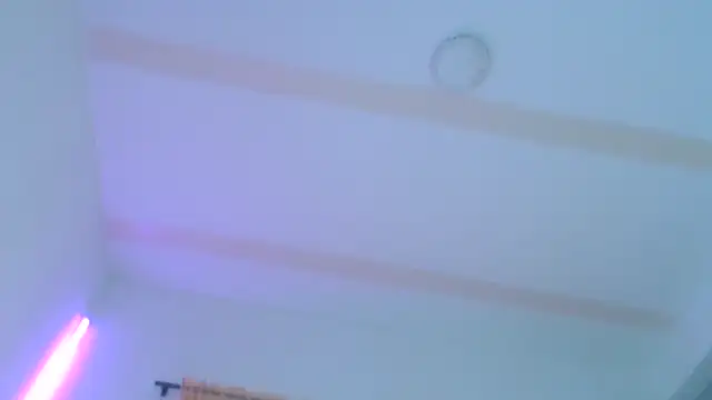 Brenda_lot webcam