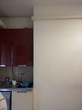 SecretlyDD webcam