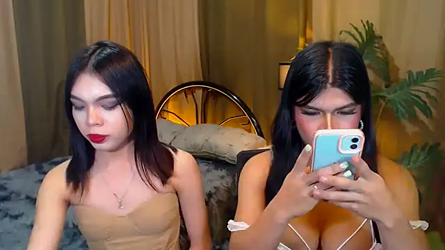 TWINKTRANSSHANEL webcam