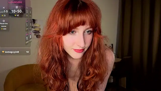 EngelBrougham webcam
