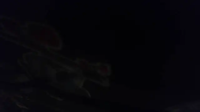hungspundick1 webcam