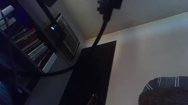 hungspundick1 webcam