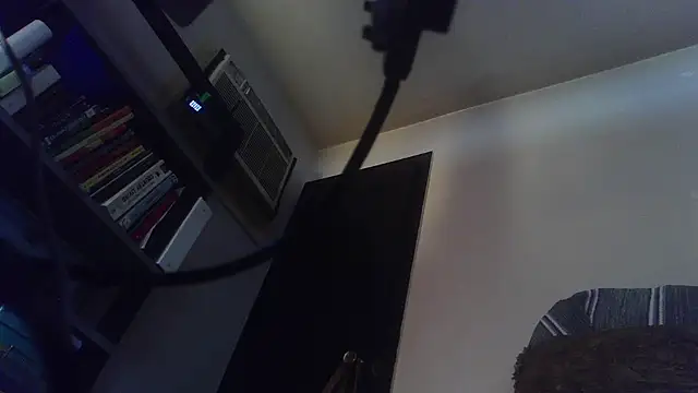 hungspundick1 webcam