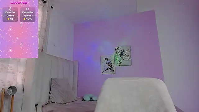 Mhia_palmer webcam