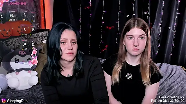 SleepingDuo webcam