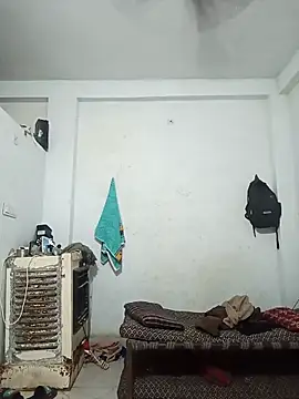 pintuS40 webcam